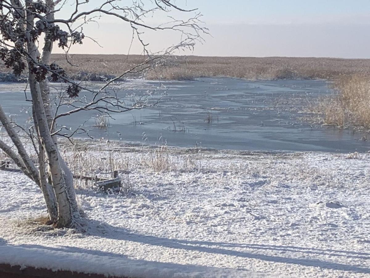 Lakeview & Wildlife Au Gres Екстериор снимка