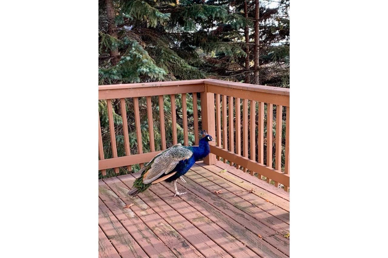 Lakeview & Wildlife Au Gres Екстериор снимка