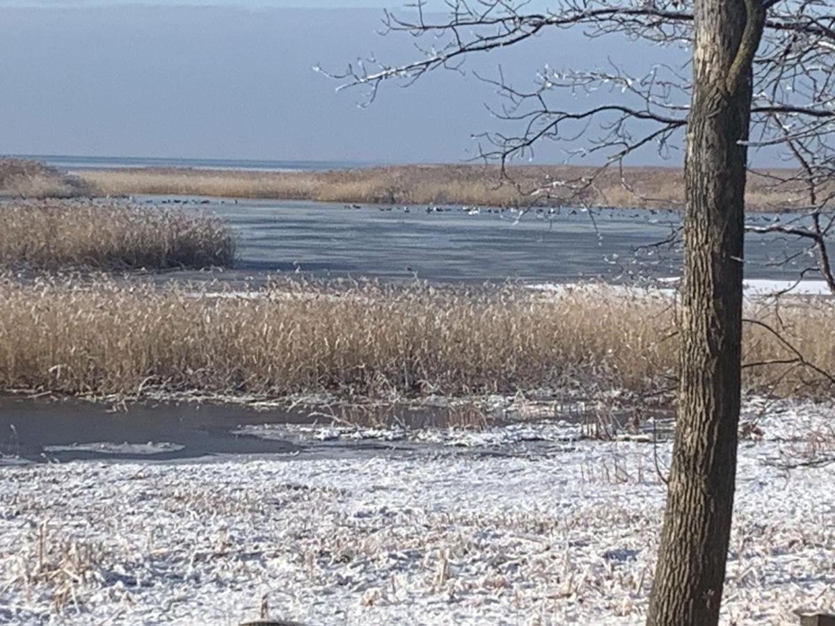 Lakeview & Wildlife Au Gres Екстериор снимка