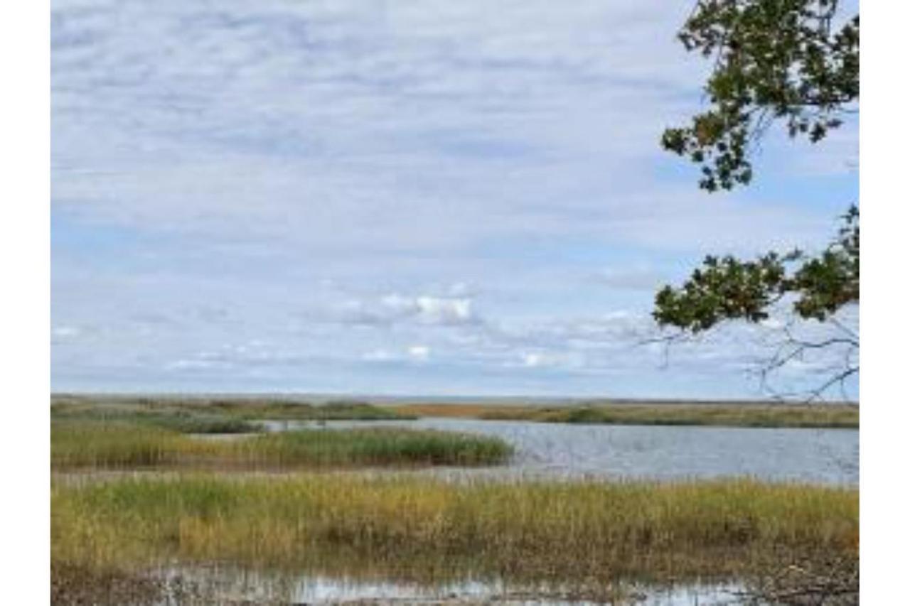 Lakeview & Wildlife Au Gres Екстериор снимка