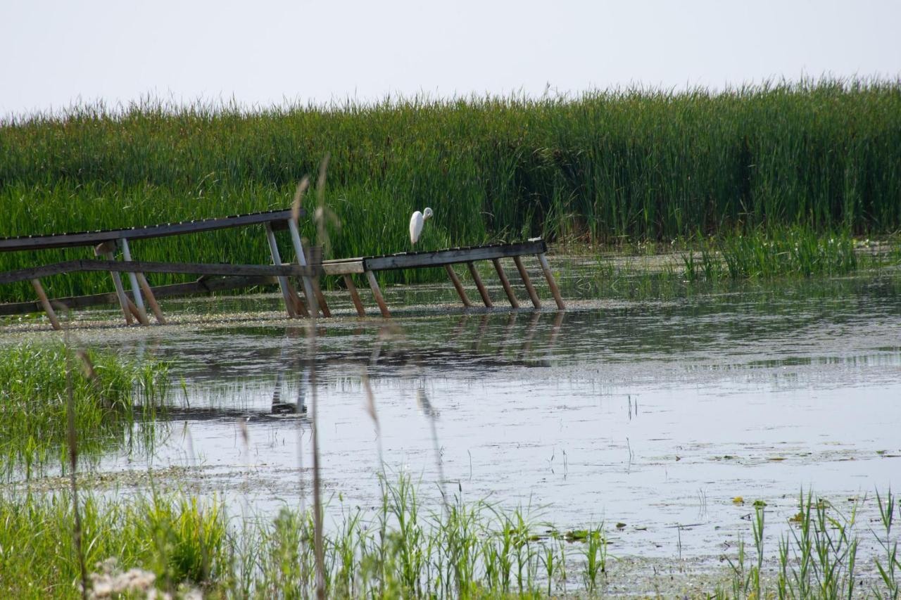 Lakeview & Wildlife Au Gres Екстериор снимка